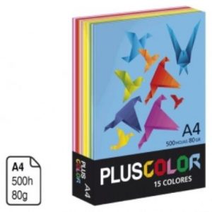 Paper Din A4 80g 15 colors surtits Campus -500 fulls-